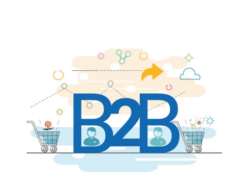 Why Magento for B2B?